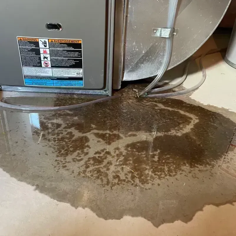 Appliance Leak Cleanup in Saint Ann, MO